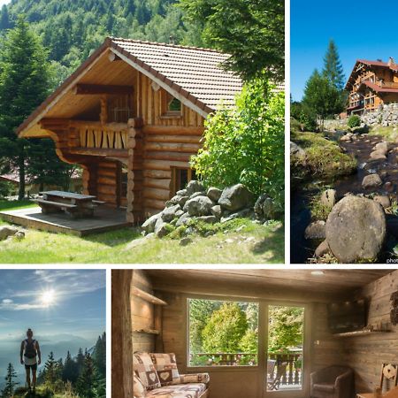 Le Couaroge Chalets Et Appartements La Bresse Kültér fotó