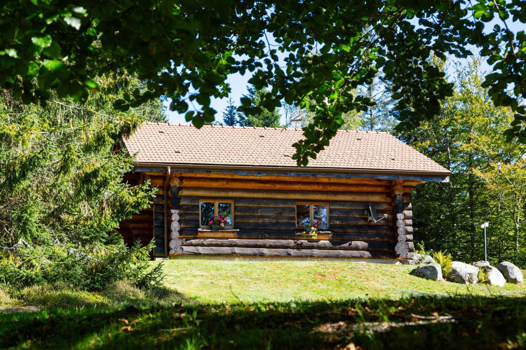Le Couaroge Chalets Et Appartements La Bresse Kültér fotó